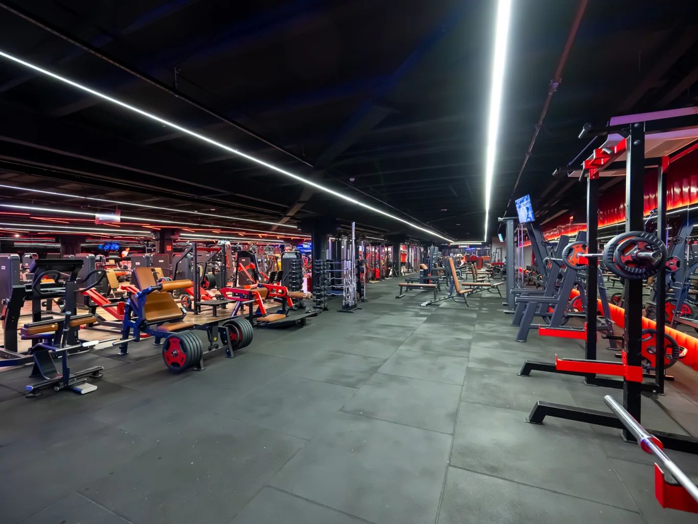 Amplo salão de musculação com iluminação linear e piso emborrachado entregue pela RGK